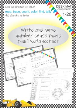 Number sense Write and Wipe 1-20