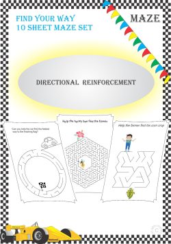 Directional Reinforcement Maze Set