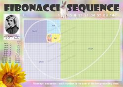 fibonnaci