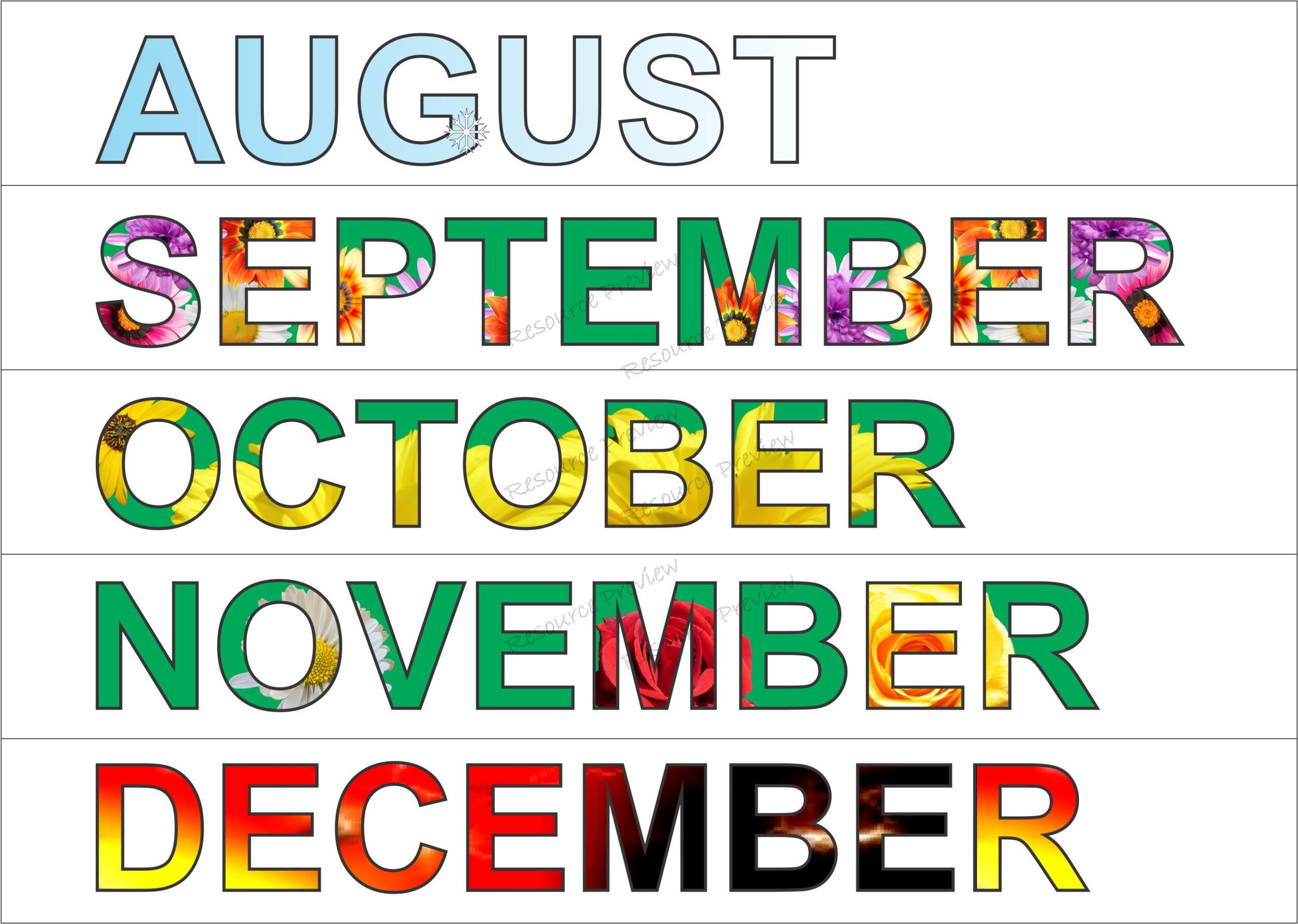 Classroom calendar - Image 3