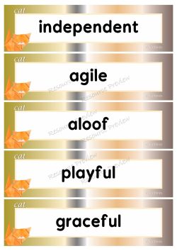 Adjectives - cat 40 words