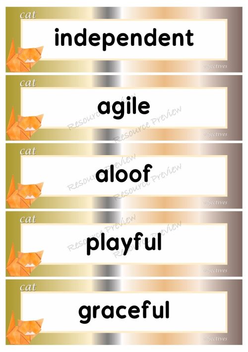 Adjectives - cat 40 words