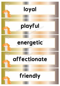 Adjectives - dog 40 words