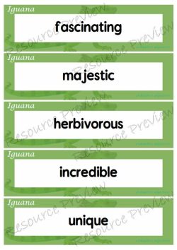 Evaluative adjectives - Iguana 35 words