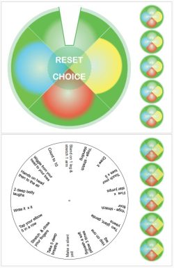 Regulation wheel choice